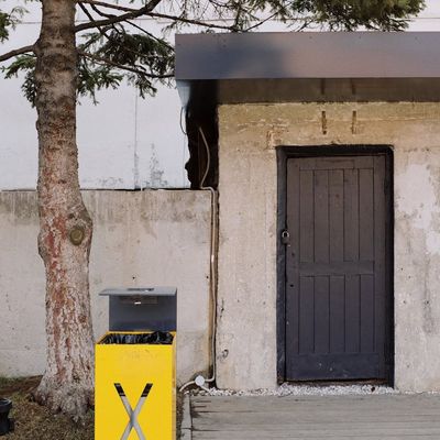 A clean, minimalist pathway made of stone surrounded by green plants.